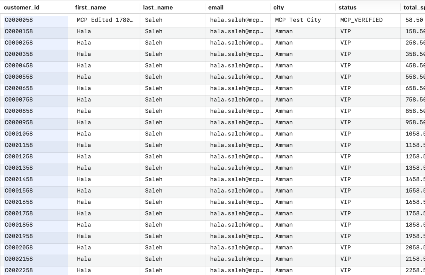 CSV Power Editor workbook grid with customer rows and search controls.